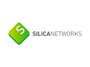 Silica Networks