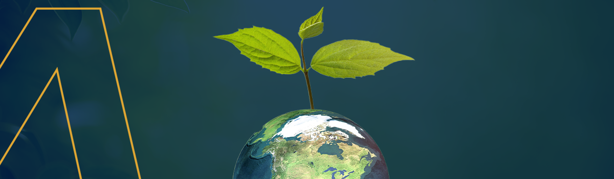 Selo Carbono Neutro: o que é e por que contratar empresas sustentáveis? 